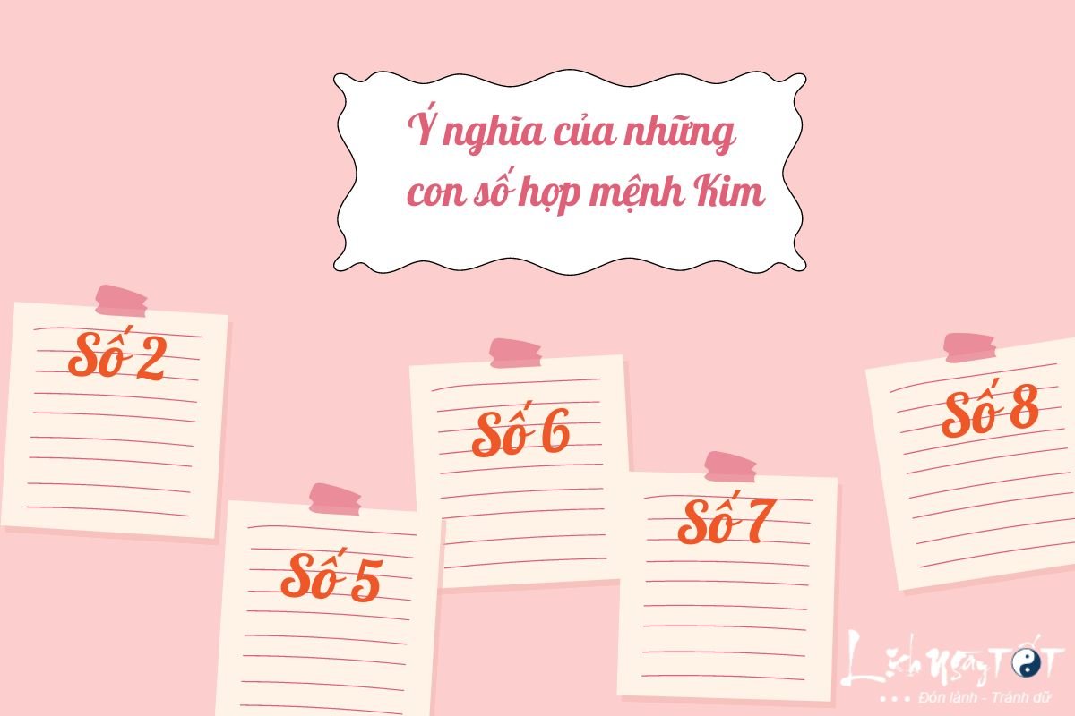 Y nghia so hop menh Kim