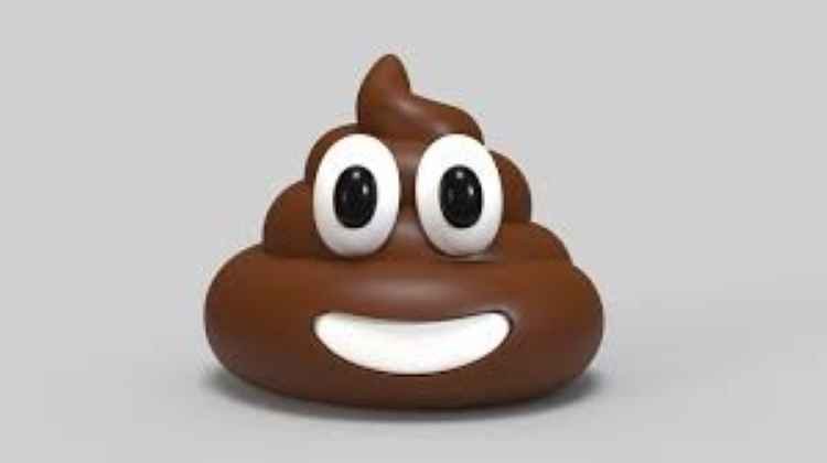 Ý nghĩa của giấc mơ thấy cứt